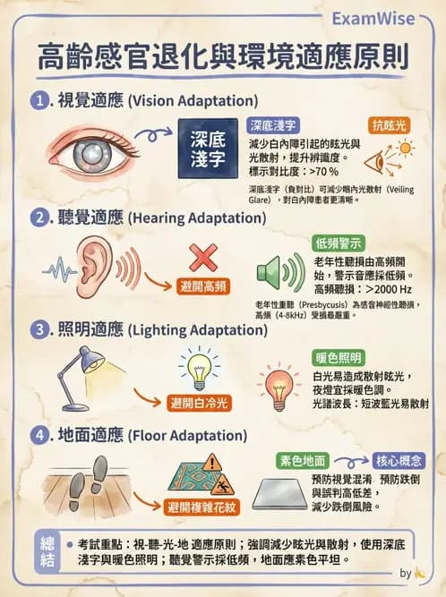 物治 - 跌倒預防與平衡訓練 - AI 圖文解析預覽
