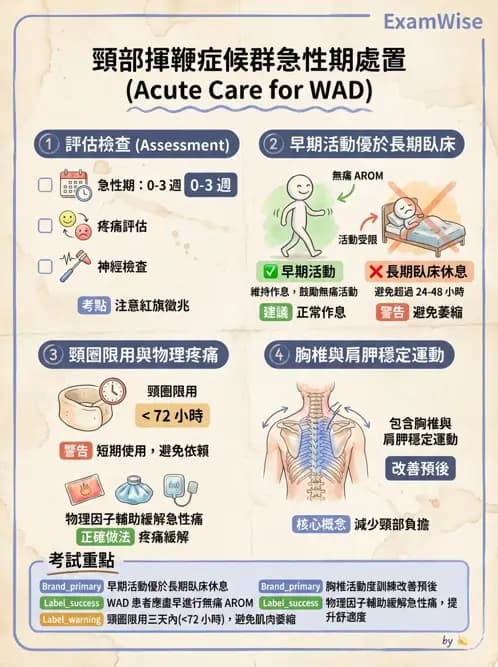物治 - 頸椎評估與病理 - AI 圖文解析預覽