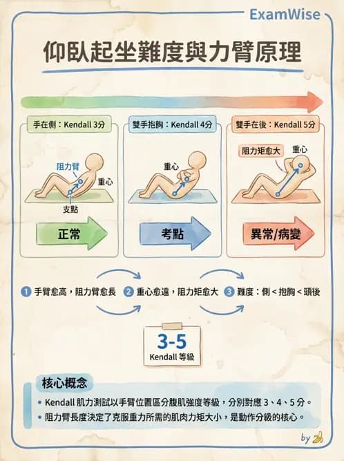 物治 - 腰椎穩定訓練與治療原則 - AI 圖文解析預覽