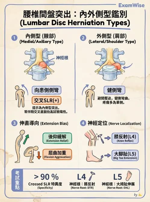 物治 - 腰椎椎間盤與脊椎狹窄 - AI 圖文解析預覽
