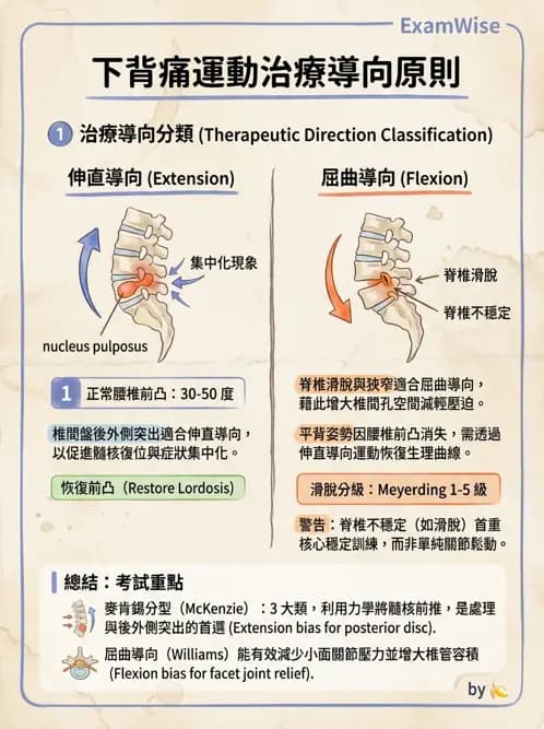 物治 - 腰椎穩定訓練與治療原則 - AI 圖文解析預覽