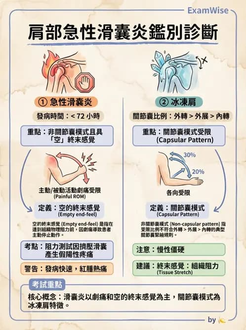 物治 - 肩關節夾擠與旋轉肌袖 - AI 圖文解析預覽