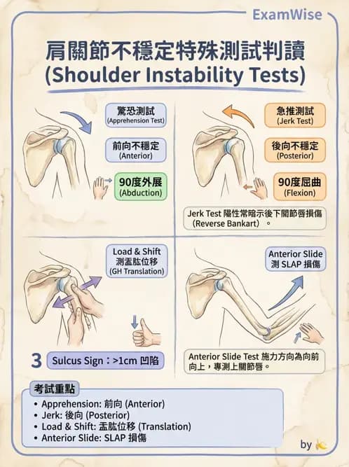 物治 - 肩關節不穩定與盂唇損傷 - AI 圖文解析預覽