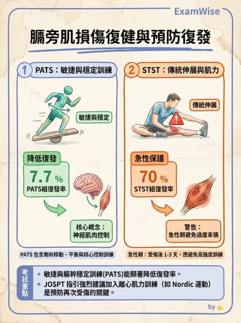 物治 - 髖關節病變與手術復健 - AI 圖文解析預覽