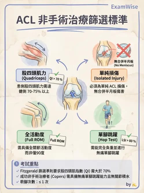 物治 - 膝關節韌帶與半月板損傷 - AI 圖文解析預覽