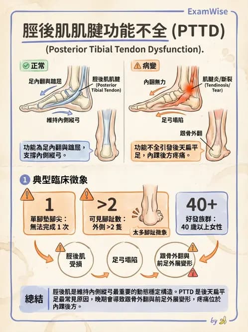 物治 - 足部病變與輔具評估 - AI 圖文解析預覽