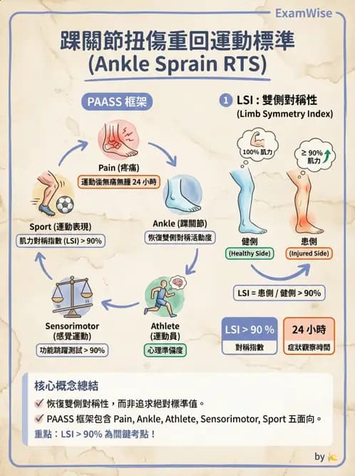 物治 - 踝關節損傷與復健 - AI 圖文解析預覽