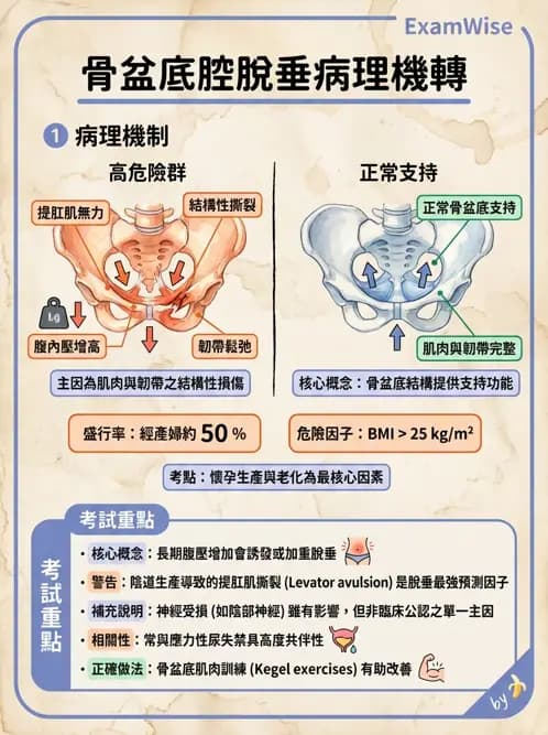 物治 - 女性健康 - AI 圖文解析預覽