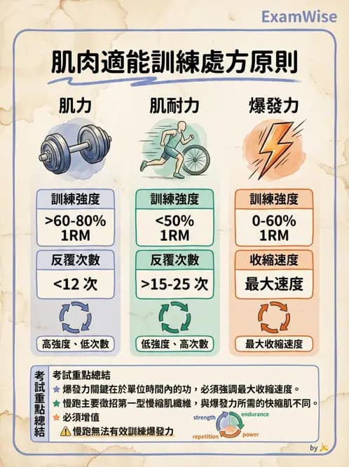 物治 - 運動篩檢與處方設計 - AI 圖文解析預覽