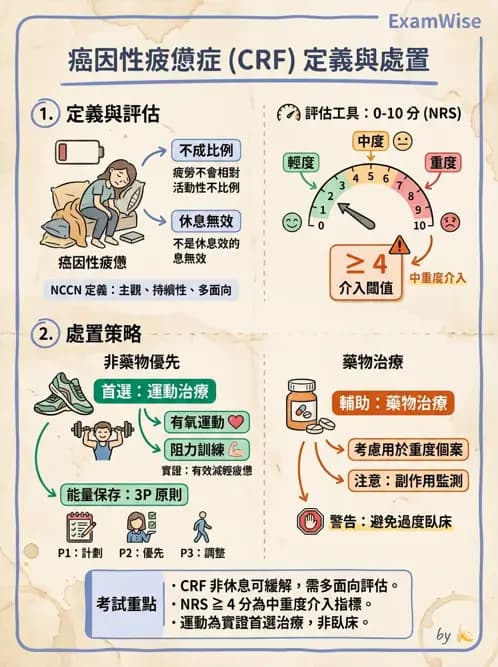 物治 - 癌症物理治療 - AI 圖文解析預覽