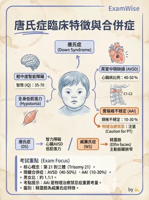 物治 - 智能障礙與基因症候群 - AI 圖文解析預覽