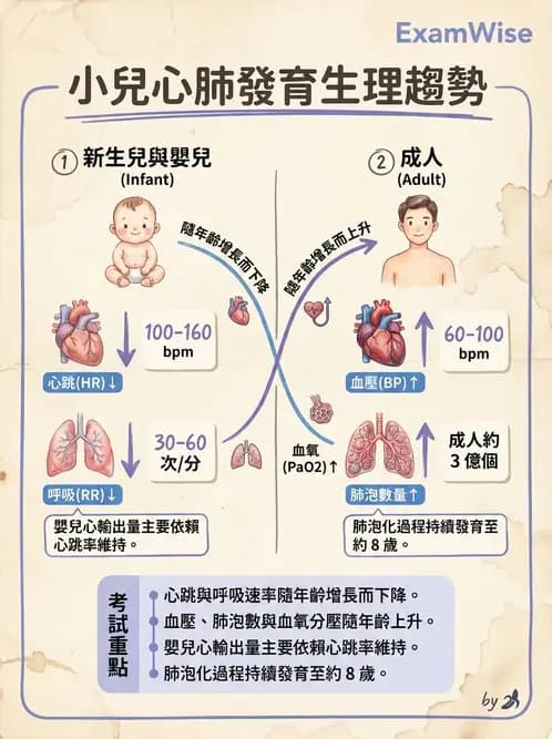 物治 - 小兒呼吸疾患與NICU物理治療 - AI 圖文解析預覽