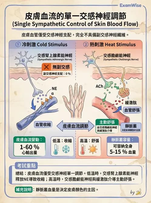 物治 - 心臟血管生理 - AI 圖文解析預覽