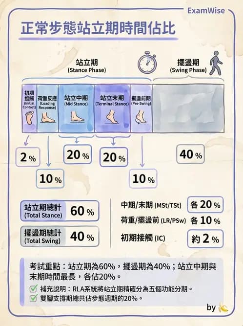 物治 - 步態週期與生物力學 - AI 圖文解析預覽