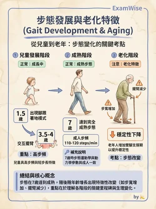 物治 - 步態週期與生物力學 - AI 圖文解析預覽
