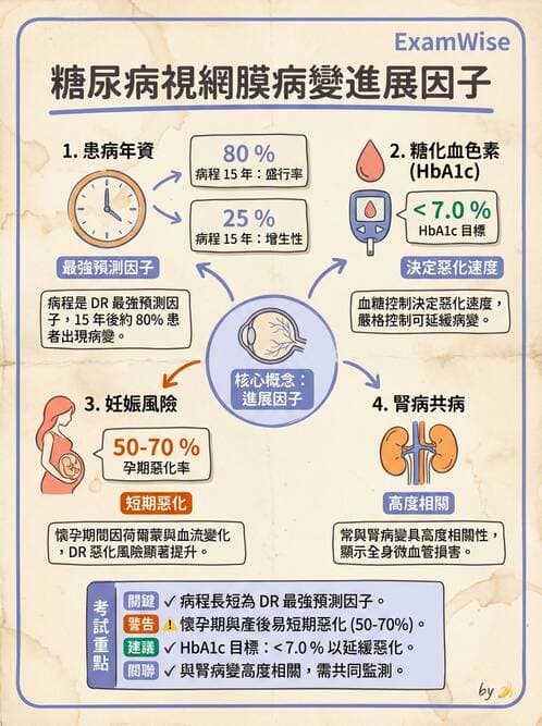 專師 - 眼耳鼻喉外科 - AI 圖文解析預覽