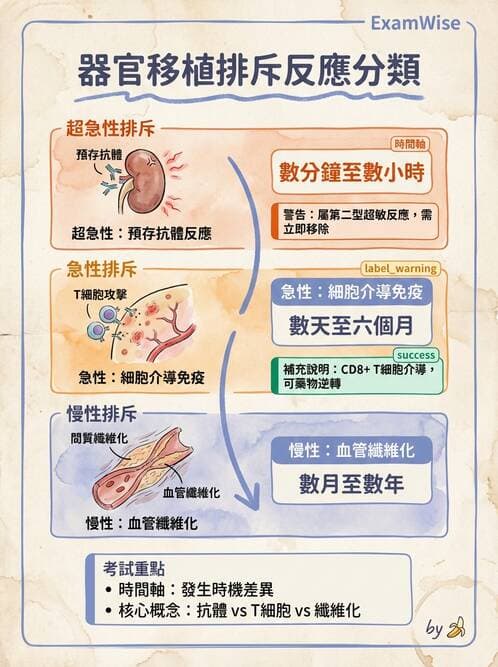 專師 - 器官移植 - AI 圖文解析預覽