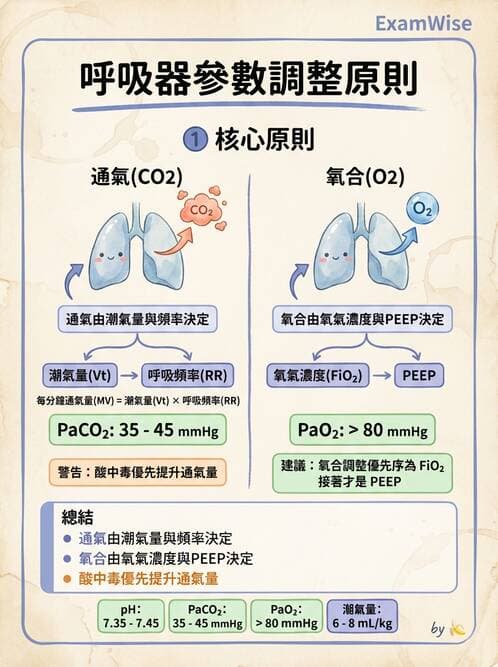 專師 - 中毒與重症照護 - AI 圖文解析預覽