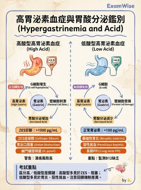 專師 - 上消化道 - AI 圖文解析預覽