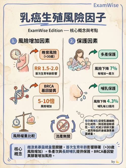 專師 - 乳房外科 - AI 圖文解析預覽