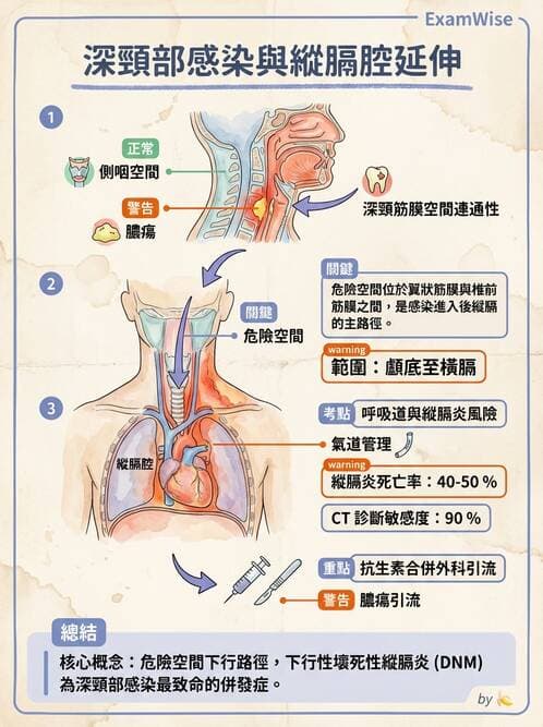 專師 - 頭頸腫瘤與甲狀腺 - AI 圖文解析預覽