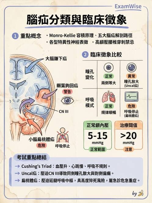 專師 - 頭部外傷與顱內壓 - AI 圖文解析預覽