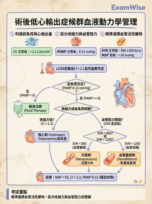 專師 - 心臟外科與介入 - AI 圖文解析預覽