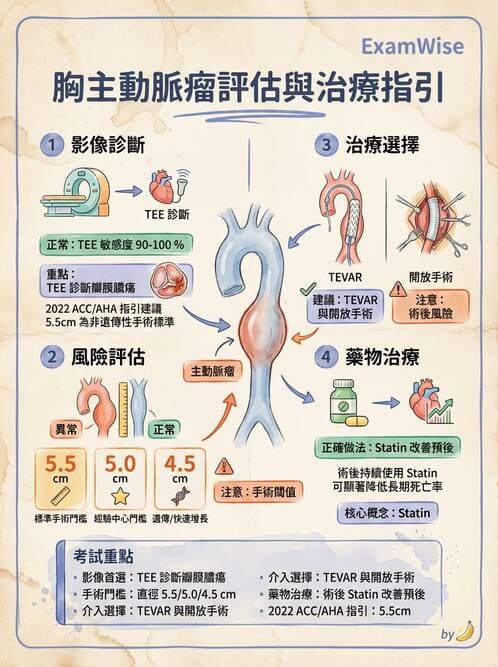 專師 - 主動脈疾病 - AI 圖文解析預覽