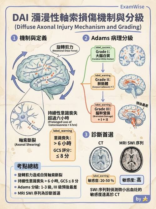 專師 - 頭部外傷與顱內壓 - AI 圖文解析預覽