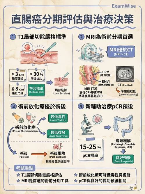 專師 - 大腸直腸癌與息肉 - AI 圖文解析預覽