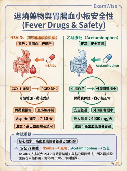 專師 - 敗血症與發燒通論 - AI 圖文解析預覽
