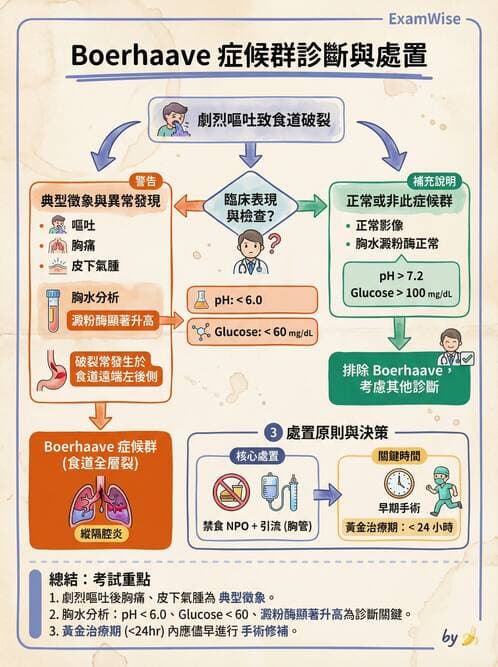 專師 - 疝氣與急腹症 - AI 圖文解析預覽