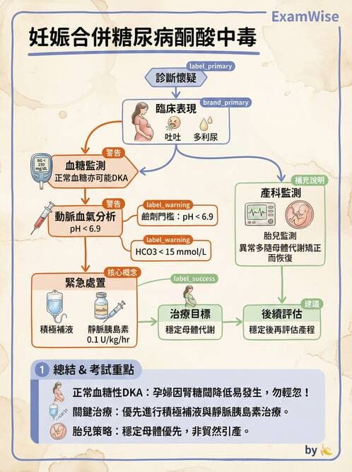 專師 - 糖尿病急症 - AI 圖文解析預覽