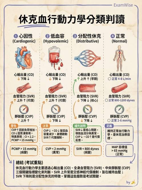專師 - 燒傷創傷與出血控制 - AI 圖文解析預覽