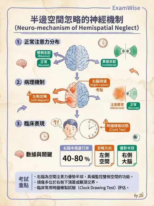 物治 - 腦血管疾病與腦外傷 - AI 圖文解析預覽