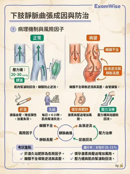 物治 - 心肺系統疾病 - AI 圖文解析預覽