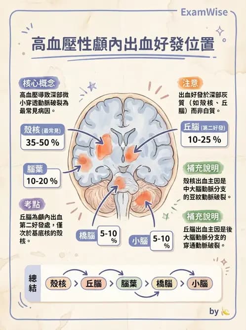 物治 - 腦血管疾病與腦外傷 - AI 圖文解析預覽
