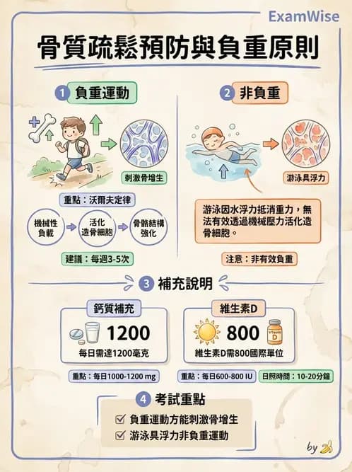 物治 - 骨科與外科疾病 - AI 圖文解析預覽