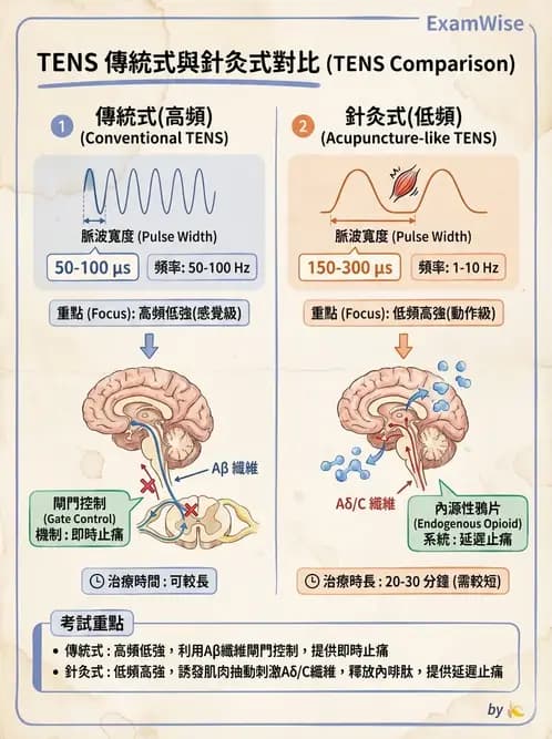 物治 - 經皮電刺激與電療基礎 - AI 圖文解析預覽