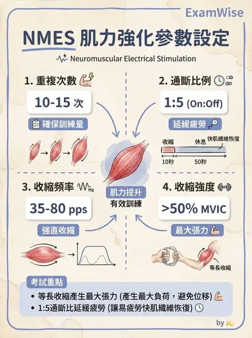 物治 - 神經肌肉電刺激 - AI 圖文解析預覽