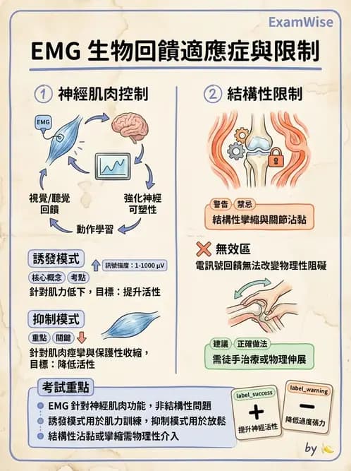 物治 - 肌電生物回饋 - AI 圖文解析預覽