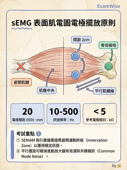 物治 - 肌電生物回饋 - AI 圖文解析預覽