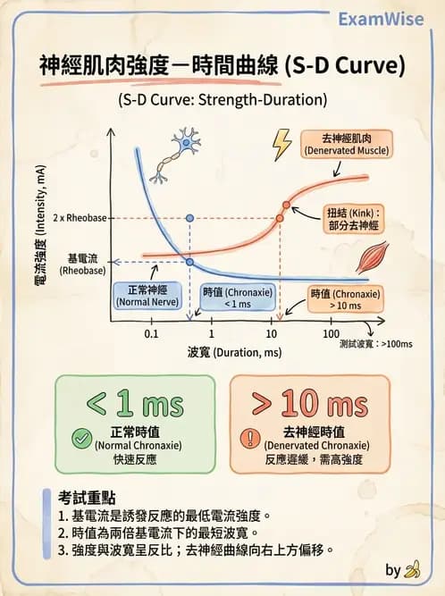 物治 - 電生理診斷 - AI 圖文解析預覽