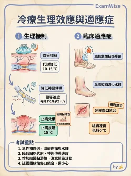 物治 - 溫度療法 - AI 圖文解析預覽