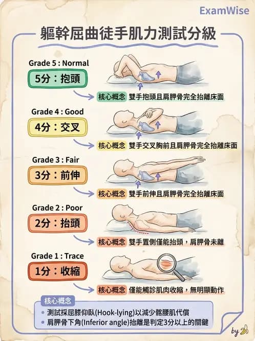 物治 - MMT通則、頭頸與軀幹 - AI 圖文解析預覽