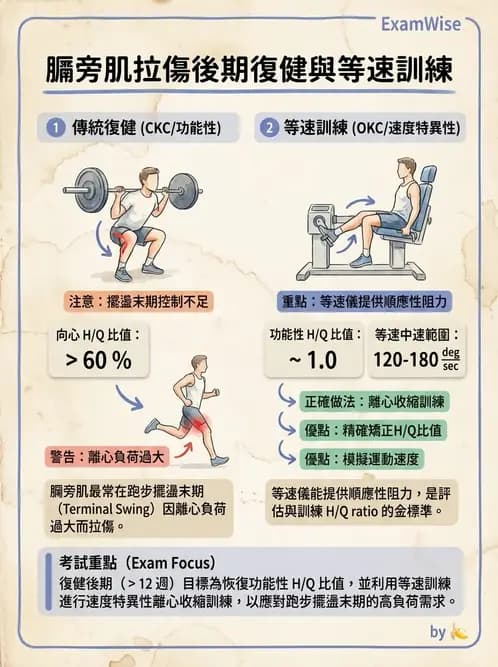 物治 - 肌力訓練方法 - AI 圖文解析預覽