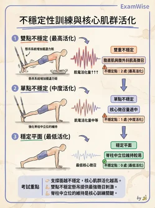 物治 - 懸吊系統與放鬆 - AI 圖文解析預覽