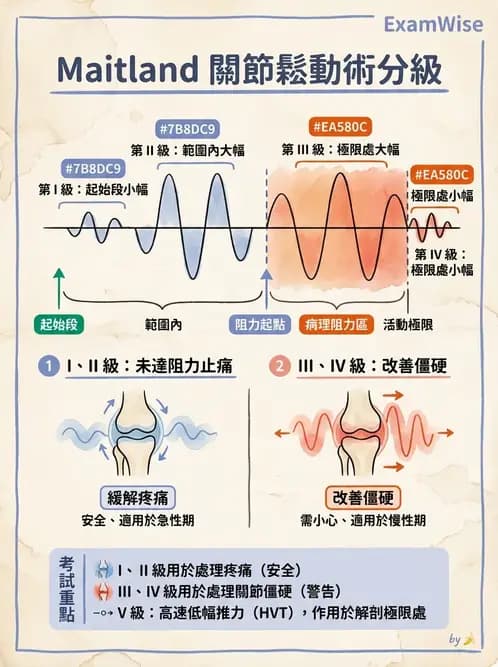物治 - 鬆動術分級理論 - AI 圖文解析預覽