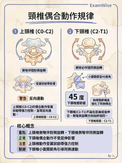 物治 - 鬆動術臨床應用 - AI 圖文解析預覽