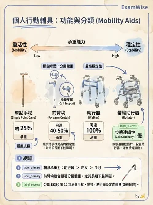 物治 - 步行輔具 - AI 圖文解析預覽